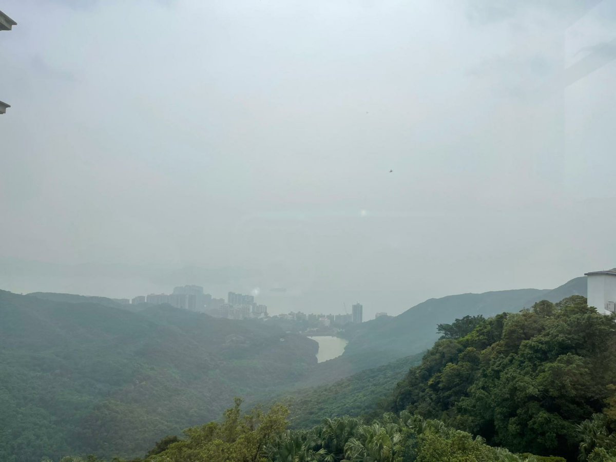 The Mount Austin