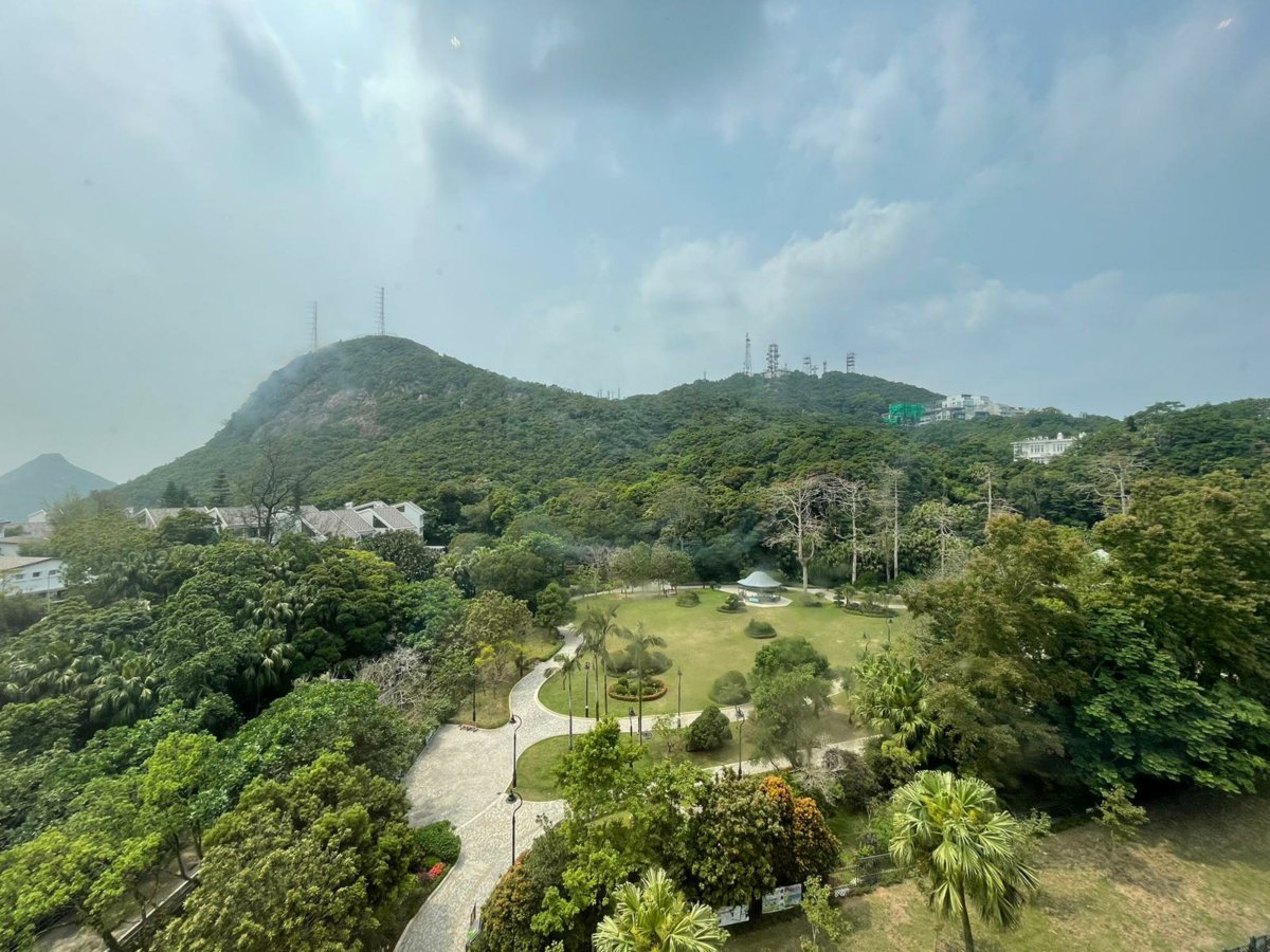 The Mount Austin