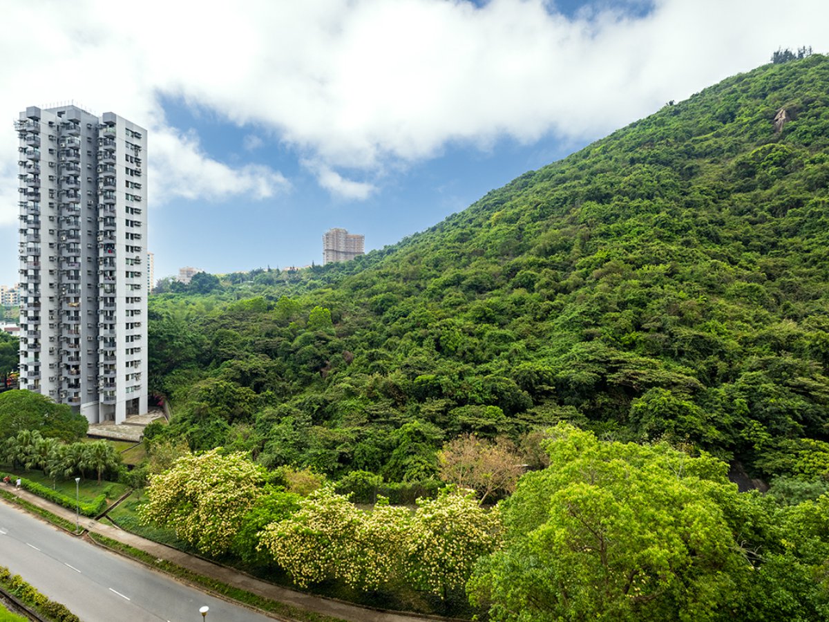 Parkvale Village  (Phase 3)