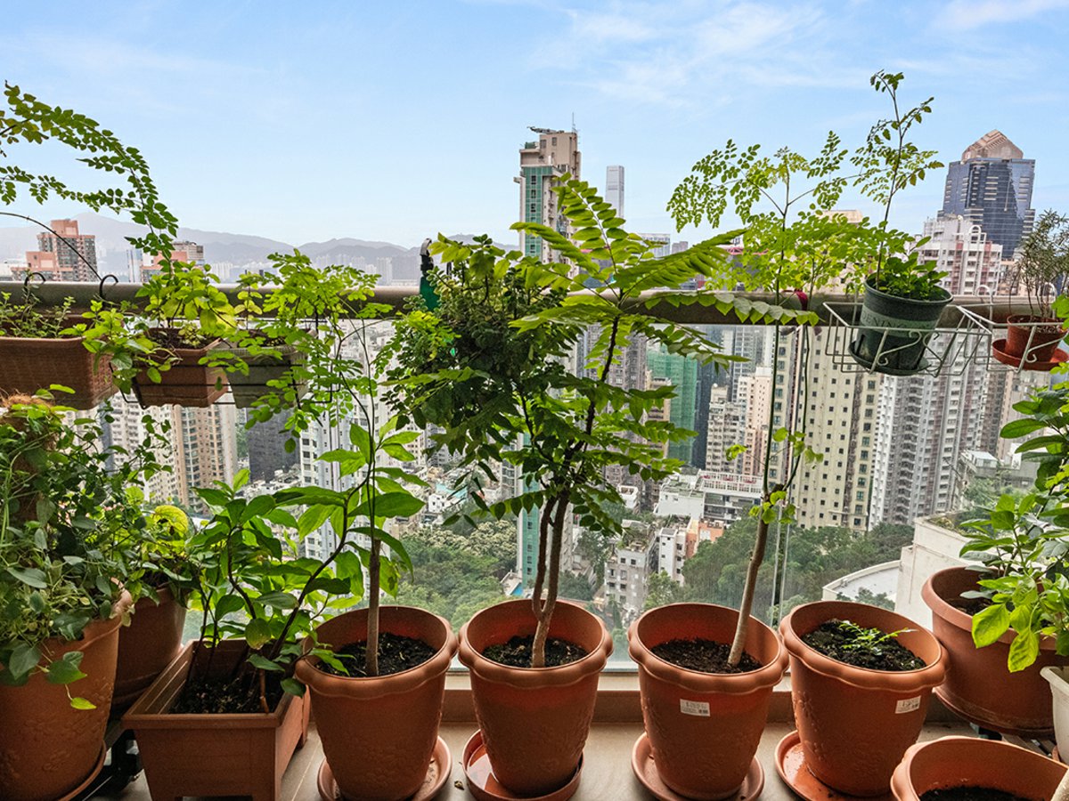 Hong Kong Garden